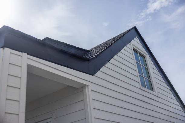 Best Siding Painting and Refinishing  in Pleasanton, CA