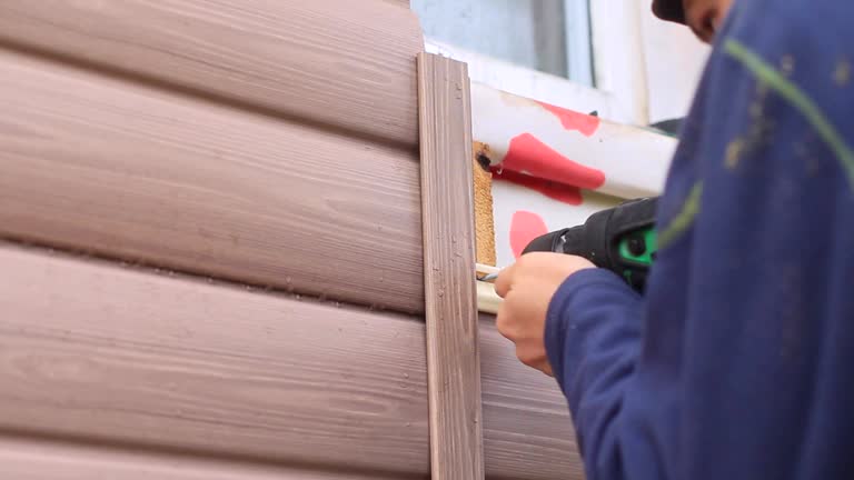 Best Historical Building Siding Restoration  in Pleasanton, CA
